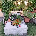 Borghetto Sant'angelo * Soriano nel Cimino