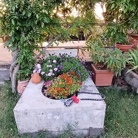 Borghetto Sant'angelo * Soriano nel Cimino